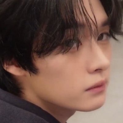 dove's profile picture