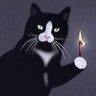 火柴猫's profile picture