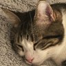 Towoast profil fotoğrafı
