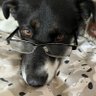 LaBella's profile picture
