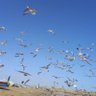 Фото профиля بیناموز
