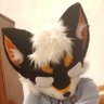 小黑柴作战记录's profile picture