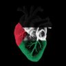 djo's profile picture