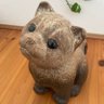 柴犬のChico💚's profile picture