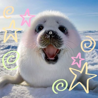 Shady seal facts's profile picture