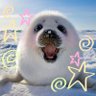 Shady seal facts's profile picture