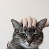 Pani.k profil fotoğrafı
