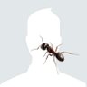 Profilbild von OTAK KOSONG