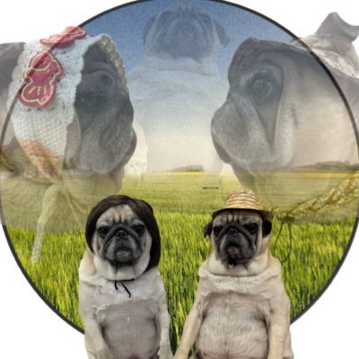ムー's profile picture