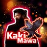 kakigadu🌚's profile picture
