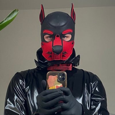 Nylo_pup_'s profile picture