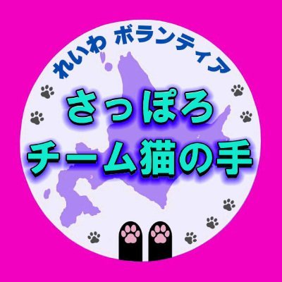 reiwa_teamhsn's profile picture