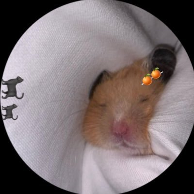 알러뷰호원's profile picture