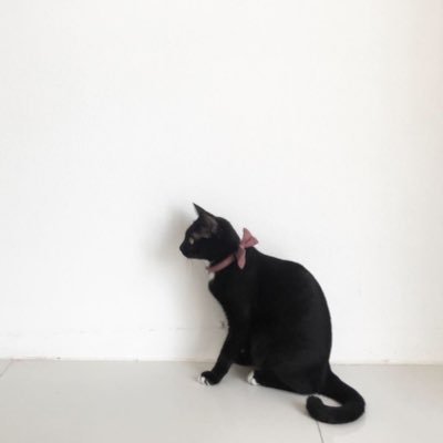 ( 으◇으 ) 🍎 ( • . • :·)'s profile picture