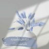 عبدالرحمن فاروق's profile picture