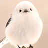 pudding profil fotoğrafı