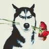 mocomocotarou's profile picture