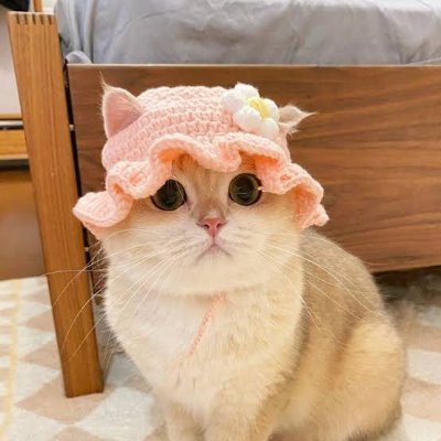 ayeaya520's profile picture