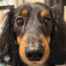 翔汰's profile picture