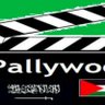 pallywood 2 的头像