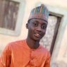 Idris ibrahim lafia🧑✈️'s profile picture