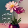 بدر سيف 的头像