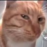 Profilbild von Nameeya
