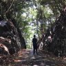 トトリなちゅーそん(도도리한 주성) 的头像