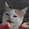 Gus's profile picture