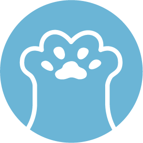 No24Androidstu1's profile picture