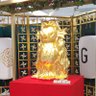 蒼月たかこ。 的头像