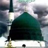 Фото профиля Qader Bhatti