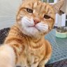 Doctor's profile picture