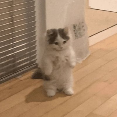 michionsolana's profile picture