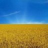 Antonio Nigro - CLOSE THE SKY 🇪🇺🇺🇦🇬🇪🇬🇧🇨🇦's profile picture
