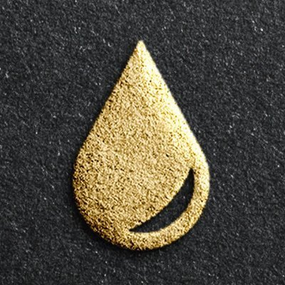 FloodCapital's profile picture