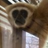 ãããããããã profil fotoÄrafı