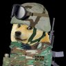MilDoge profil fotoğrafı