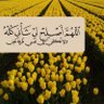 Фото профиля افنان ❤️