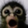 shdhdh's profile picture