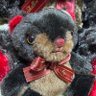 Profilbild von 森野球磨山