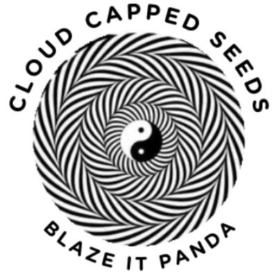 CloudCappedSeed's profile picture