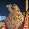 Фото профиля عبدالله
