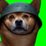 Trench Duke profil fotoğrafı