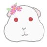 佐倉　ゆき 的头像