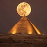 مصرى's profile picture