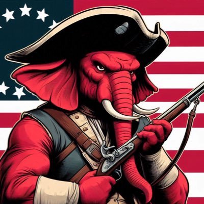 Angry Elephant's profile picture