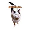 tsuma's profile picture
