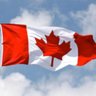 BDDRCUP 🇨🇦's profile picture