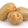 Profilbild von Elyan